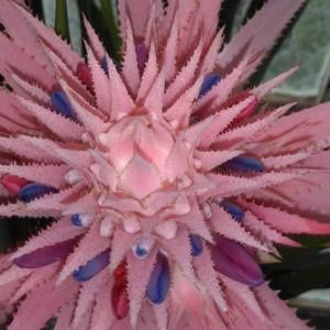 Meet your Posher, Judith